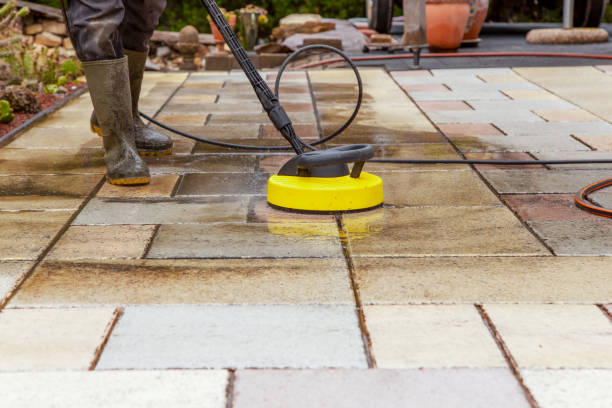 Best Fence Cleaning  in Cedar Glen West, NJ