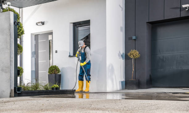 Best Driveway Pressure Washing  in Cedar Glen West, NJ